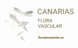 floradecanarias