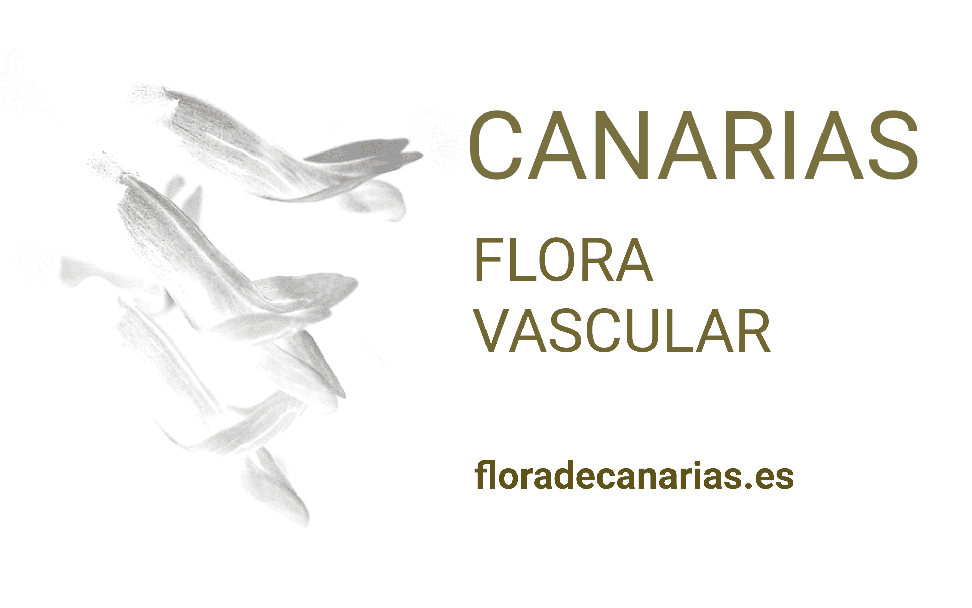 floradecanarias